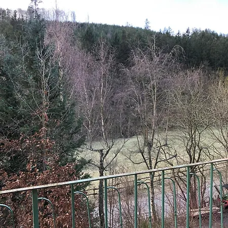Wald Idyllika * Willingen (Upland)