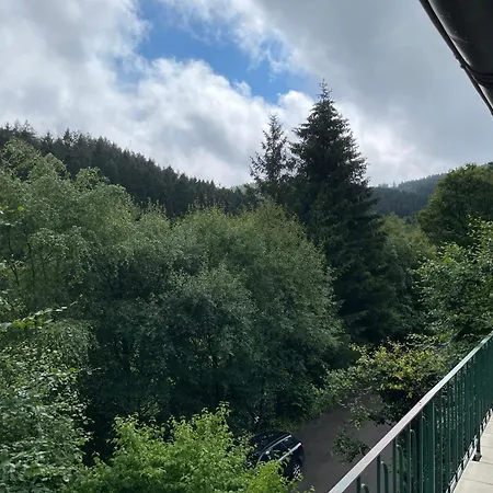 Wald Idyllika * Willingen (Upland)