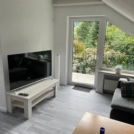 Wald Idyllika Willingen (Upland)