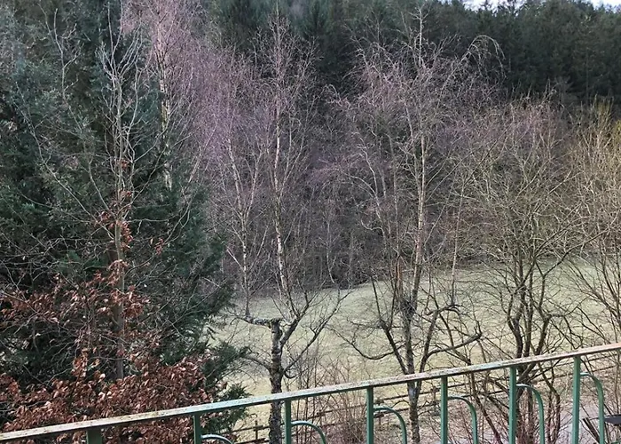 Wald Idyllika * Willingen (Upland)