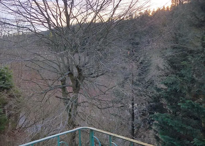Wald Idyllika