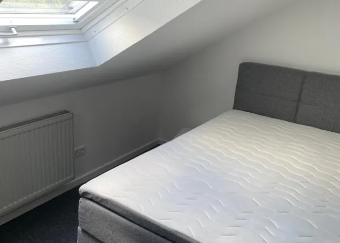 Wald Idyllika Willingen